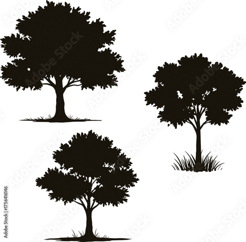 Silhouette illustration of diverse trees, rounded canopy, split trunk, dense foliage, natural vegetation, landscape design, botanical variety, isolated black shapes, white background