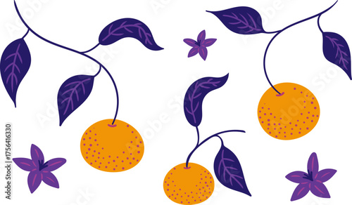 abstract tangerines on branch doodle vector objects collection artistic purple orange elements  modern design textile print holiday decor