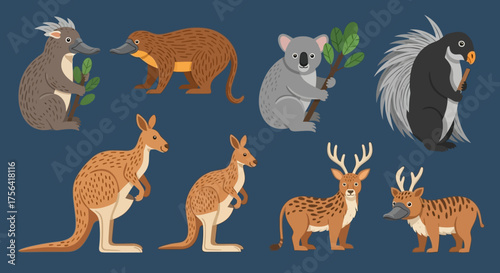 Cartoon animals on a navy background echidnas platypuses koala porcupine kangaroos and deer with platypus features