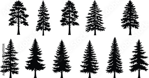 Collection of pine tree silhouettes, evergreen conifer forest tree vector set for nature, winter, Christmas, and landscape design
