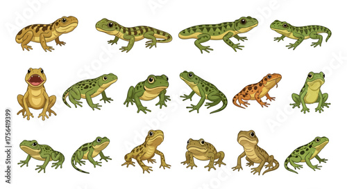 Fifteen frog illustrations in varied poses  colors displayed against a white background