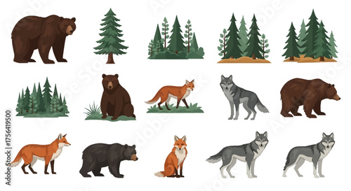 Forest scene featuring bears foxes wolves and various coniferous trees