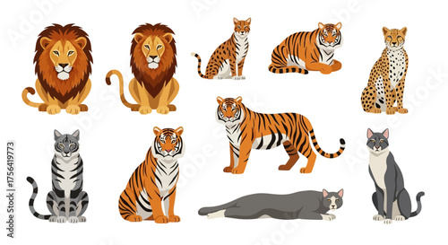 Illustration of various felines including lions tigers a cheetah and domestic cats on a white background