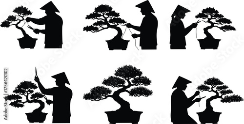Bonsai master pruning miniature tree, traditional Japanese gardener silhouette shaping bonsai plant with scissors, harmony art of bonsai cultivation