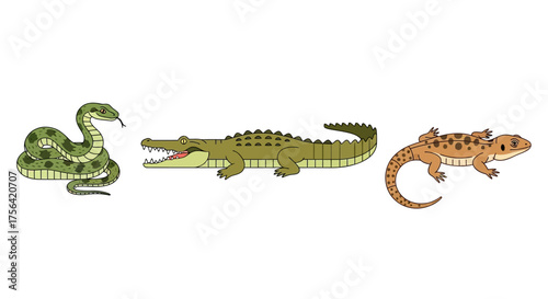 Three reptile illustrations a snake a crocodile and a gecko