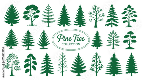 Collection of diverse pine and evergreen tree silhouettes for nature and winter designs