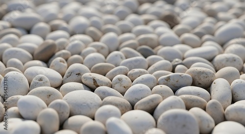 White Pebbles Beach Texture.