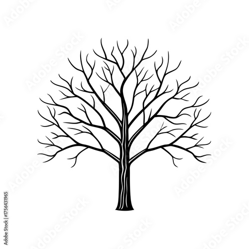 Bare tree silhouette drawing on transparent background