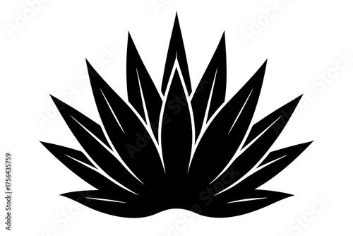 Agave plant icon black silhouette art, white background
