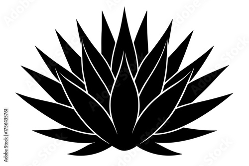 Agave plant icon black silhouette art, white background
