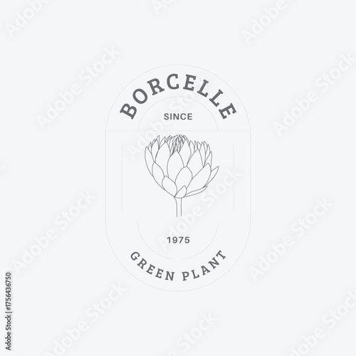 Elegant botanical logo design featuring protea flower, perfect for branding organic skincare, sustainable businesses, or wellness brands seeking minimalist appeal
