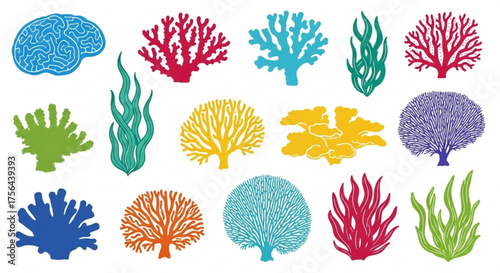 Colorful coral and seaweed vector illustration on a white background design