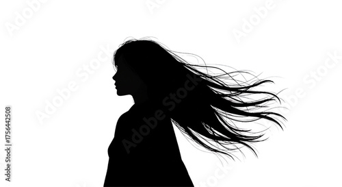 Woman Silhouette with Long Hair Flowing