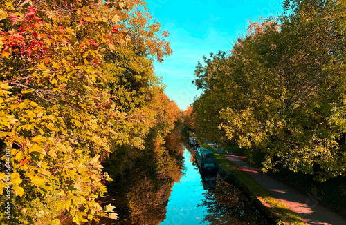 Amber leaves shimmer along the Calder and Hebble Navigation canal, where narrowboats drift into stillness, moored beneath the golden hush of Cromwell Bottom’s autumn canopy in Brighouse, UK