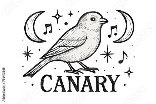 Canary and Celestial Elements. Hand-drawn canary with moons, sparkles, and notes, center word “Canary” in black and white isolated