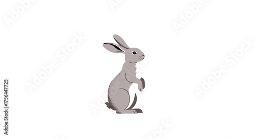 A cute animated rabbit is standing on its hind legs and looking to the side in a clear white background.