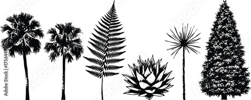 Collection of diverse trees and plants in silhouette, isolated on transparent background