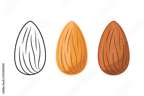 Three almonds in different styles including sketch and realistic rendering