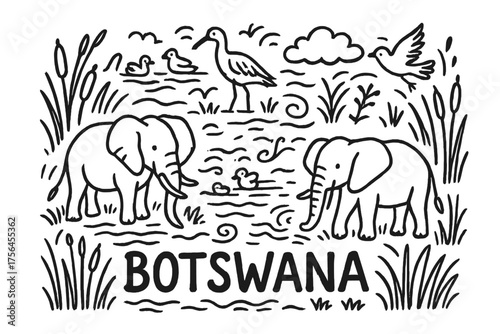 Botswana Delta Doodle. Doodle botswana delta with elephants, birds, and reeds, center word “Botswana” in black and white isolated