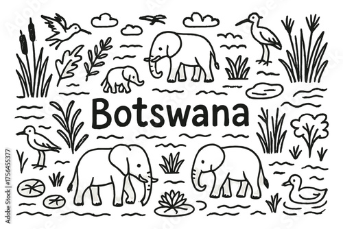 Botswana Delta Doodle. Doodle botswana delta with elephants, birds, and reeds, center word “Botswana” in black and white isolated