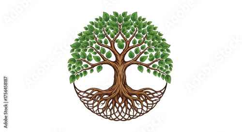 Vector illustration of stylized illustration of a tree of life with lush green leaves and intricate roots