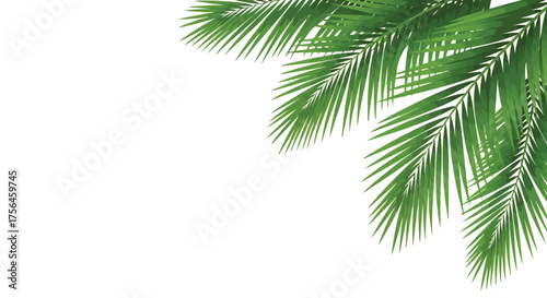 Vector illustration of vibrant green palm fronds curving into the corner of the frame