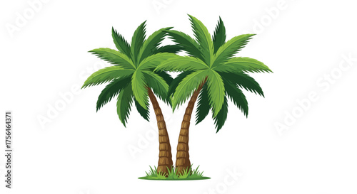 Vector illustration of two green palm trees with coconuts