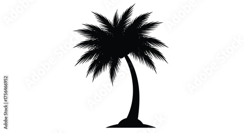 Vector illustration of silhouette of a palm tree