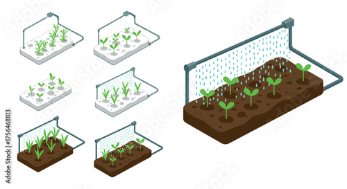 Growing plants in hydroponic and soil systems: isometric illustration of plan…