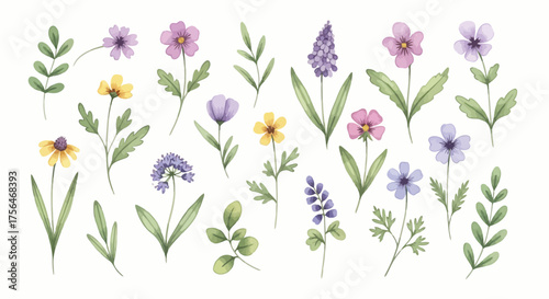 Vector illustration of a collection of delicate watercolor wildflowers and green leaves, isolated on a, perfect for spring and summer designs