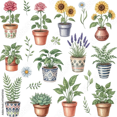 Create Set of flowers and plants in pots, garden plants, decorative design elements, hand drawn watercolor illustration isolated on white background for your design, text or wallpapers.