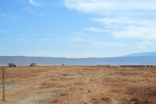 Africa, Tanzania, Ngorongoro, safari
