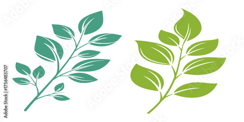 Set of two green leafy branch illustrations, a natural plant symbol and vector eco concept element for a fresh logo design