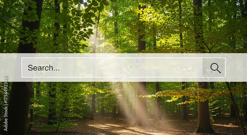 Wallpaper Mural Search for Nature: Sunlight Filtering Through a Lush Forest Canopy Torontodigital.ca