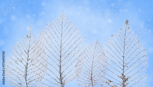 Frost-covered leaves on a blue winter background. Beautiful frozen foliage with delicate ice crystals and soft snowfall. Seasonal nature concept with cold and fresh atmosphere