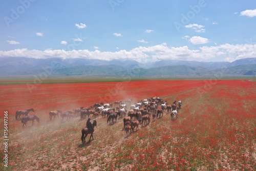 Wild horses running across red poppy field with mountains