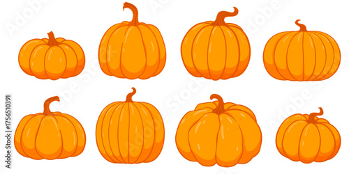 Set of vector autumn pumpkins. Hand drawn pumpkin squash in different colors and shapes