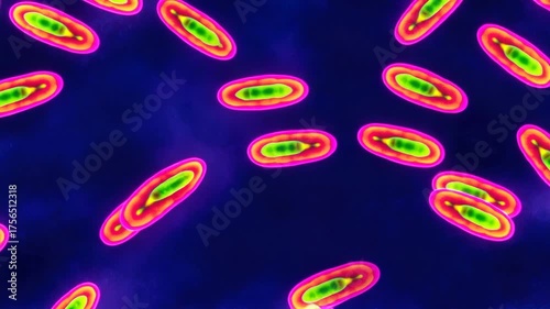 Pathogenic bacteria Yersinia pestis infection microscopy animation microbiology