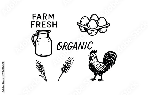 Farm fresh organic icons for sustainable agriculture and food branding