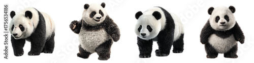 Adorable panda bears in various poses showcase playful animal charm, perfect for children's designs and wildlife conservation campaigns, originally a scalable vector graphic