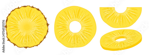 Pineapple vector slice fruit illustration. Realistic ananas piece isolated background, pineapple ring
