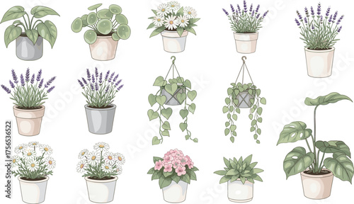 Flowering houseplant illustration set, lavender and hydrangea clipart, hanging greenery art, indoor garden decor, botanical asset pack, cozy plant design