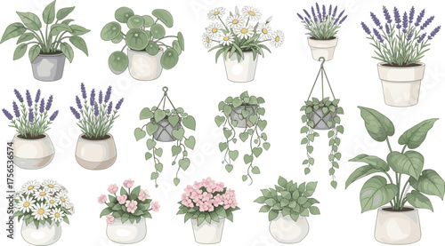 Flowering houseplant illustration set, lavender and daisy clipart, hanging greenery art, indoor garden decor, botanical asset pack, cozy plant design