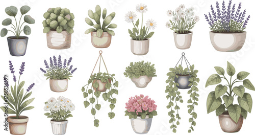 Flowering houseplant illustration set, lavender and daisy clipart, hanging greenery art, indoor garden decor, botanical asset pack, cozy plant design