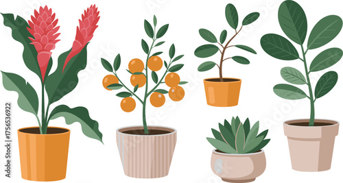 Potted plant illustration, flowering and fruit plants, indoor greenery clipart, botanical decor design, cartoon foliage art, succulent and leaf mix
