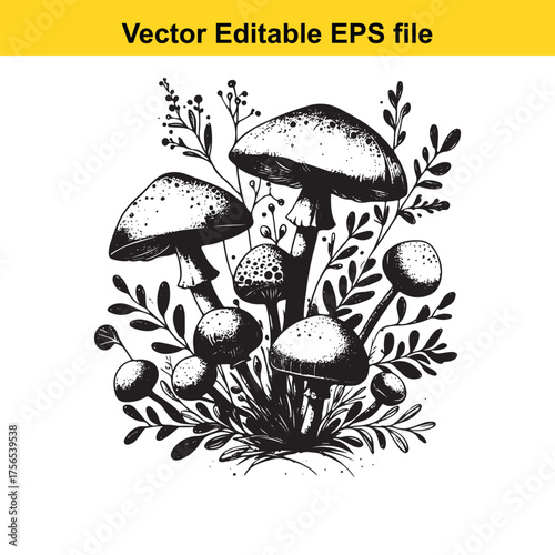  vector art of a detailed black and white illustration of various mushrooms and foliage, isolated on a