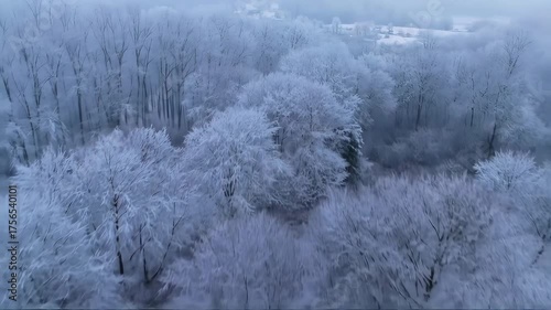 Wallpaper Mural Majestic Drone Flight Over a Frosty Winter Wonderland Forest and Secluded Foggy Hamlet Torontodigital.ca