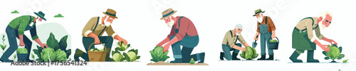 vector of grandfather harvesting vegetables in the garden