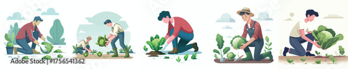 vector of man harvesting vegetables in the garden