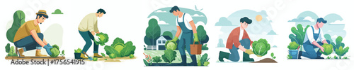 vector of man harvesting vegetables in the garden